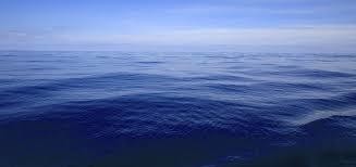 Tintin, Blake et Mortimer et fade to grey